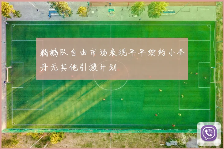 鹈鹕队自由市场表现平平续约小乔丹无其他引援计划