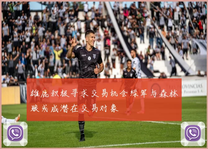 雄鹿积极寻求交易机会绿军与森林狼或成潜在交易对象