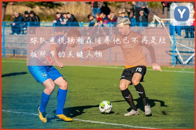 球队重视杨瀚森培养他已不再是短板环节的关键人物