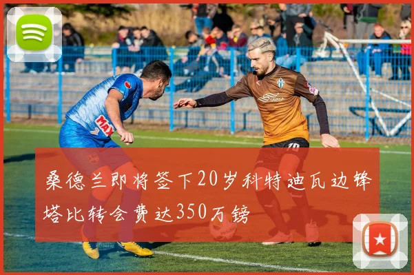 桑德兰即将签下20岁科特迪瓦边锋塔比转会费达350万镑